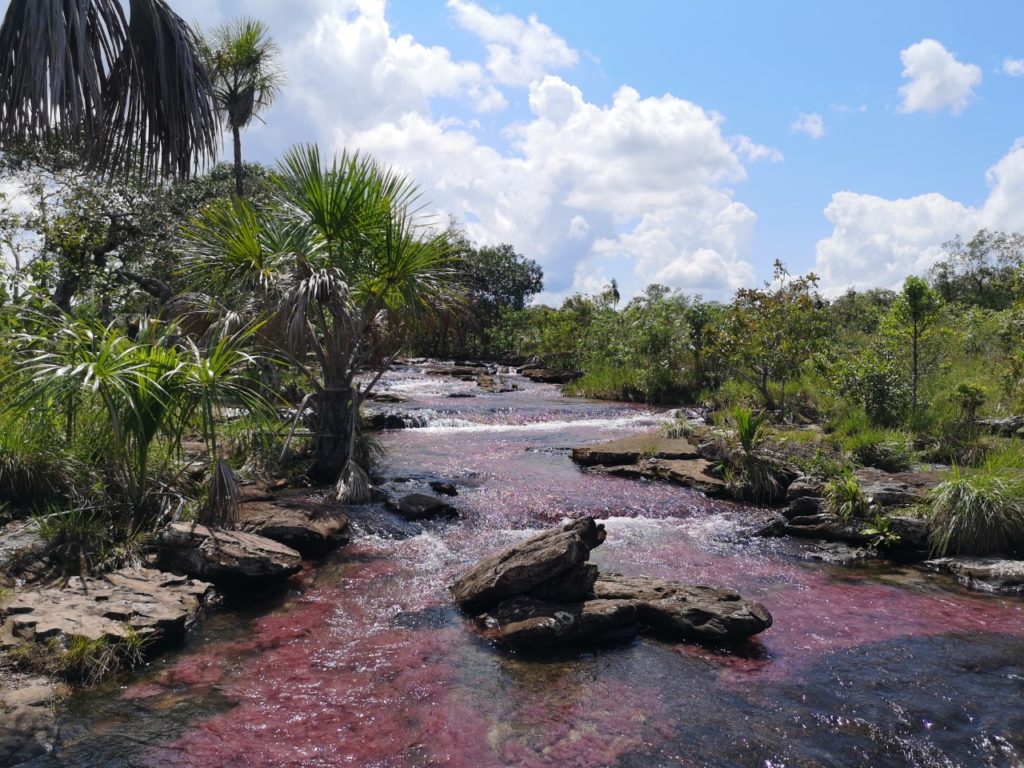 photo paysage riviere rouge centre esthetique Galeom